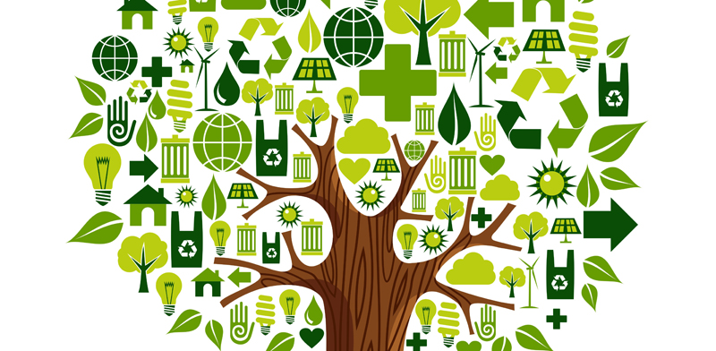 Stop Hoarding, Start Recycling