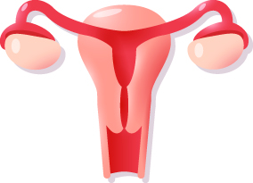 The Truth About Biological Clock