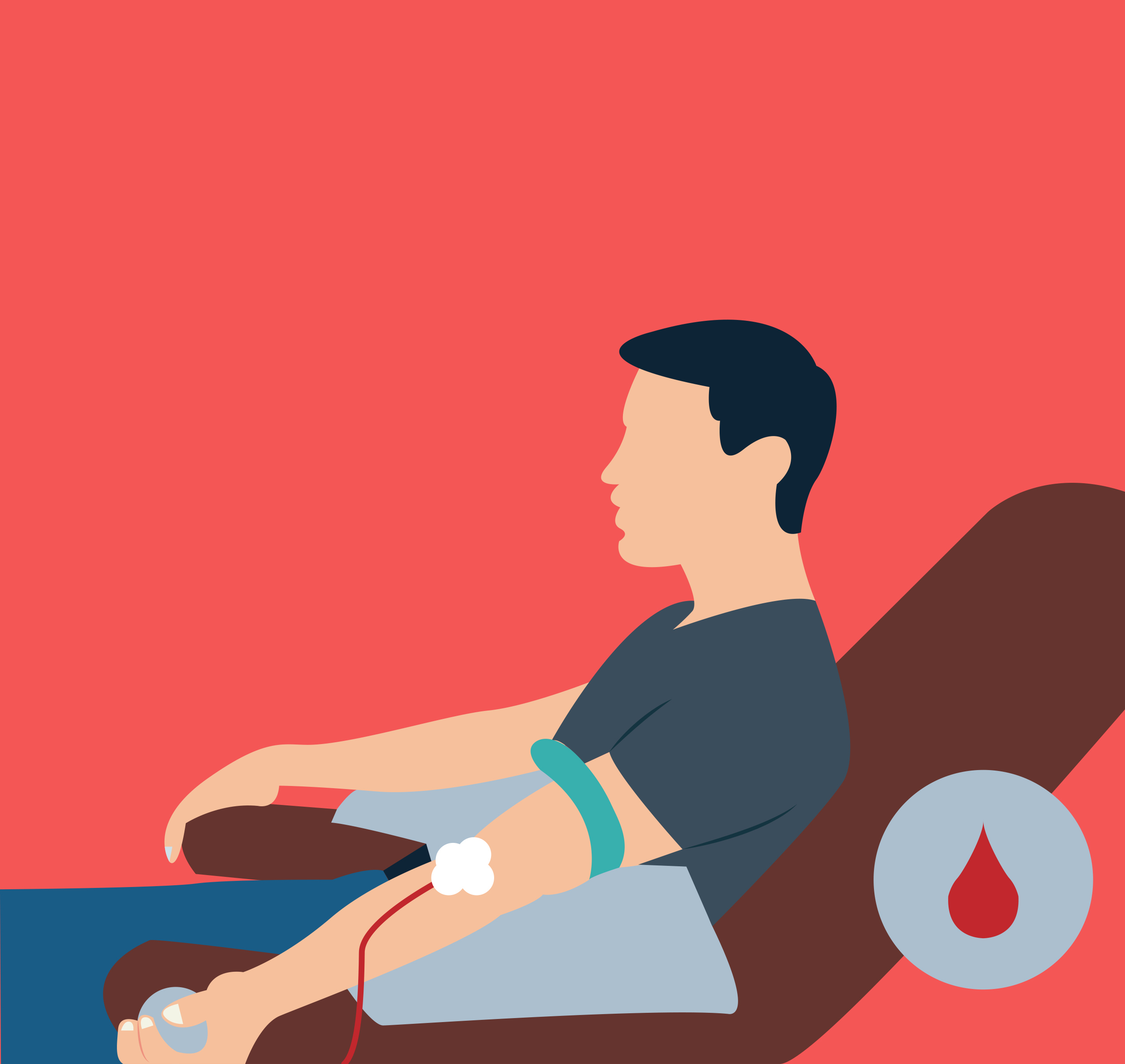 Busting Myths About Donating  Blood