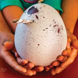 Saving for the Future You Know or Don&rsquo;t Know Yet