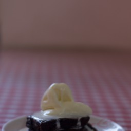 Sal&rsquo;s Brownies