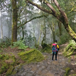 Trekker&rsquo;s Insurance: Your Partner in Mountain Heights