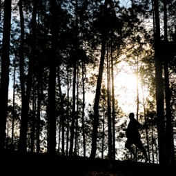 6 Reasons You Can&rsquo;t Drop Your Weight